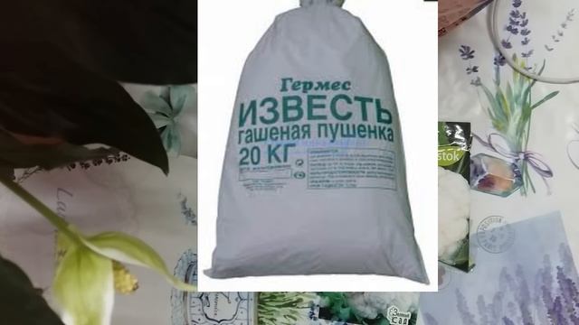 Цветная капуста. Работа над ошибками для начинающих огородников .Часть 2 смотреть онлайн