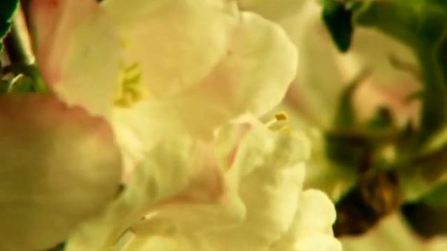 Я без Тебе нічого не значу смотреть онлайн