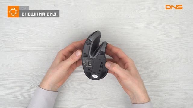 Распаковка мыши Trust Verro Wireless Ergonomic Mouse / Unboxing Trust Verro Wireless Ergonomic Mous смотреть онлайн