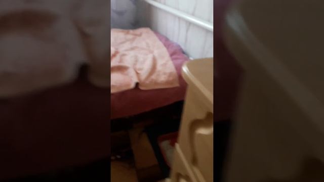 Это моя колонка любимая смотреть онлайн