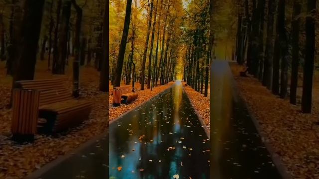 Юрий Визбор • А зима будет большая