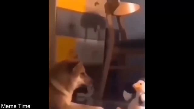 Memes you can suggest it to your crush смотреть онлайн