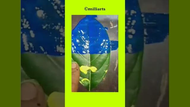 ?? flag painting on green leaf||#trending #satisfying смотреть онлайн