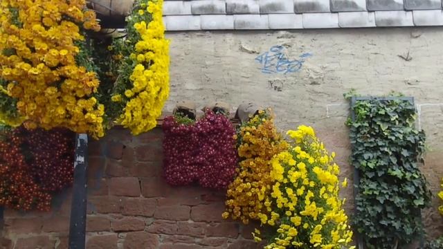 LAHR Chrysanthemum Festival | Germany | English Subtitles | Malayalam Travel Vlog смотреть онлайн