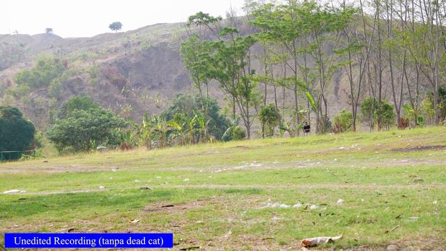 DJI Mic Killer - Review Hollyland Lark Max (Mic buat iPhone, android camera dll) смотреть онлайн