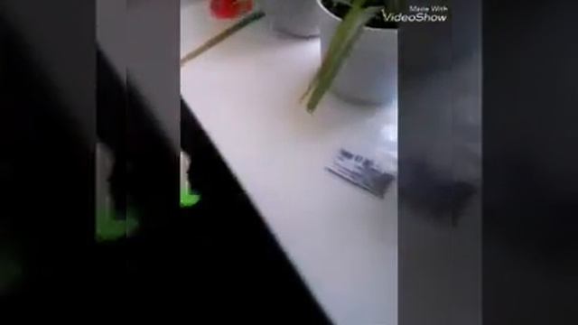 Обзор на игрушку лизуна-Мелкие пакости☻✿ смотреть онлайн