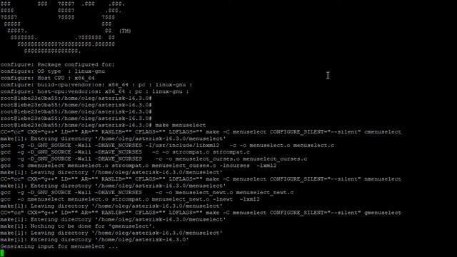 Ручное создание образа Docker Asterisk 16 на базе Debian 9 (тестовый прогон) смотреть онлайн