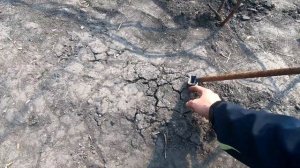 #12 Бюджетна шпалера для винограду з арматури