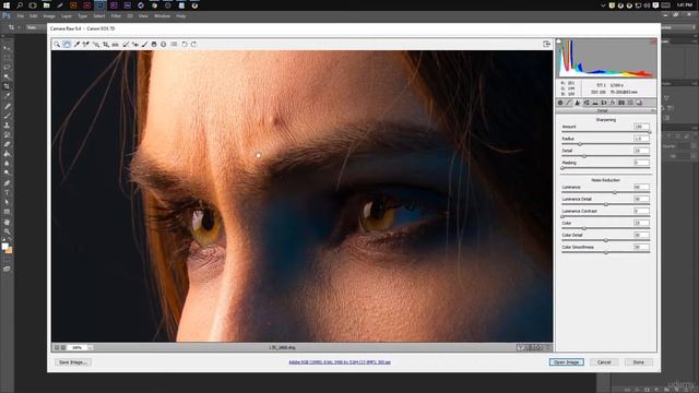 Photo Editing & Retouching Masterclass   Photoshop 2016   Udemy 8