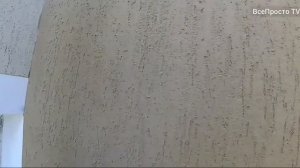 Большой объем короеда в одного #стыкуемшов, #короед