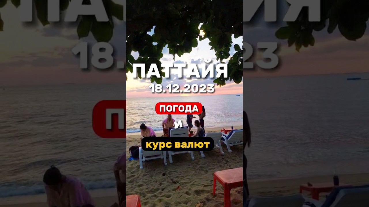 Ежедневные выпуски из Паттайи. Погодами курс бата в обменниках. Экскурсии в Паттайе #паттайя2023 смотреть онлайн