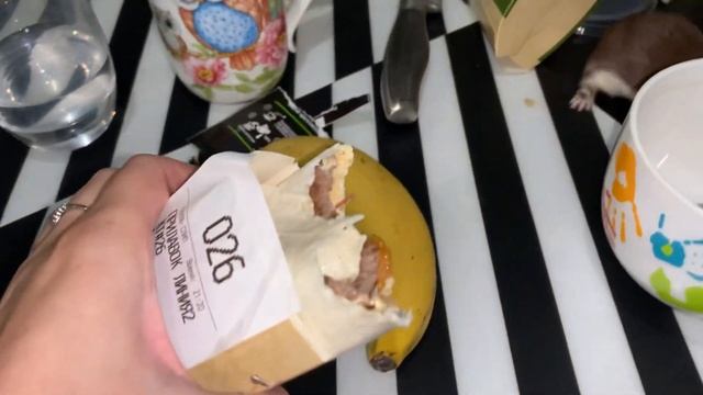 Домашняя ласка и еда из Макдональдс смотреть онлайн