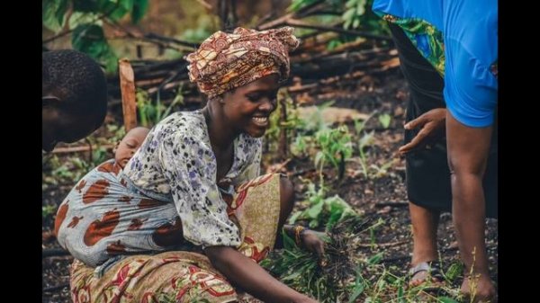 Сьерра Леоне  История