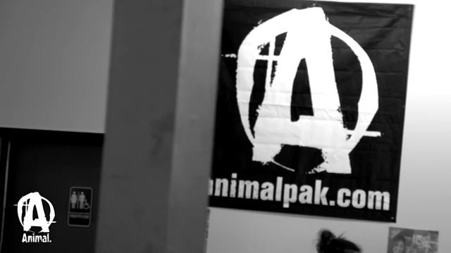 ANIMAL NITRO "Kickstart" смотреть онлайн