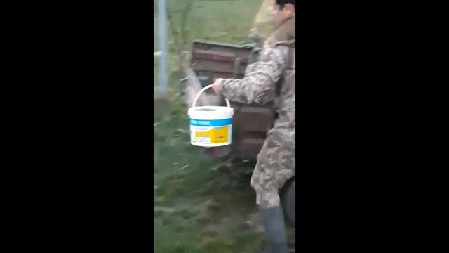 Выпуск рыбы Выселки смотреть онлайн