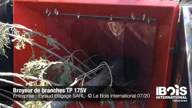 Измельчитель веток и сучьев TP175V смотреть онлайн