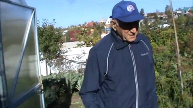 Как вырастить ростовские яблоки в Иркутске Висящев Александр Никандрович смотреть онлайн