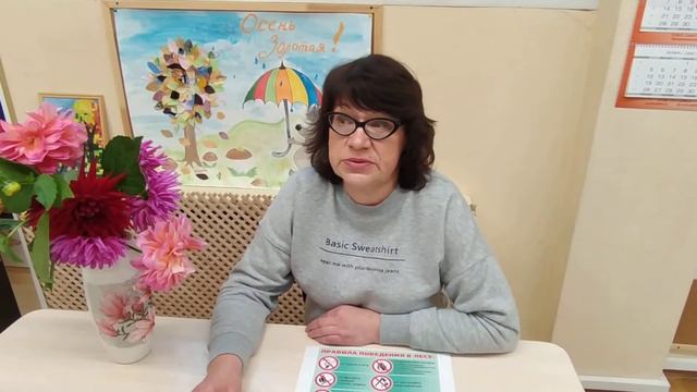 "Правила безопасности в лесу" смотреть онлайн