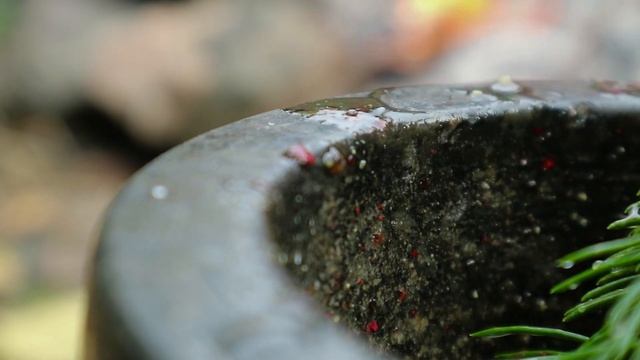 Лучшая свиная корейка на огне. Свинина на кости! | Pork brisket on fire. The secrets of the kitchen смотреть онлайн