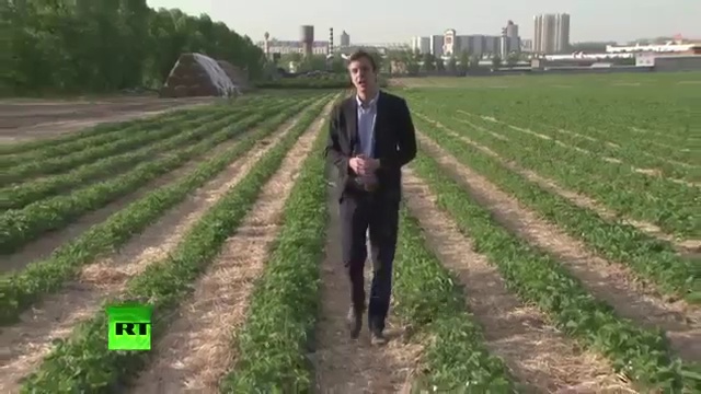 Госдума может приравнять производителей ГМО продукции к террористам смотреть онлайн