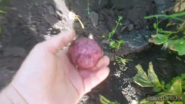 Жизнь ,Жизнь на Урале !!! смотреть онлайн