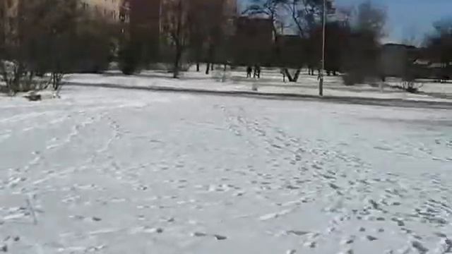 Тренировка Аякса.avi смотреть онлайн