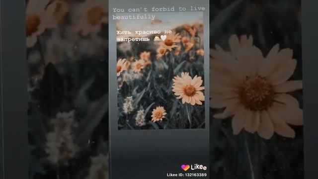 Самые красивые фразы на английском языке.. смотреть онлайн