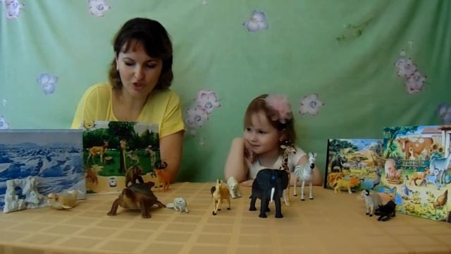 загадки о животных смотреть онлайн