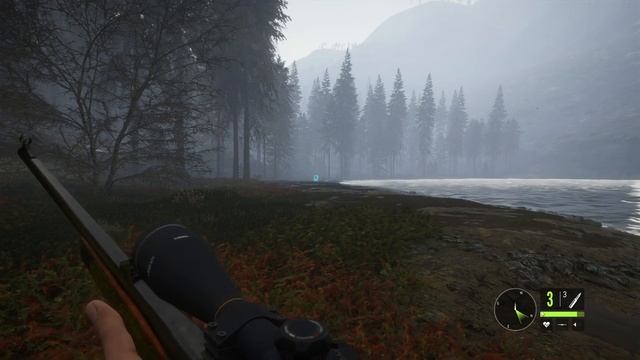 How to Hunt Smarter to Earn More Cash & XP! | theHunter Call of the Wild! смотреть онлайн
