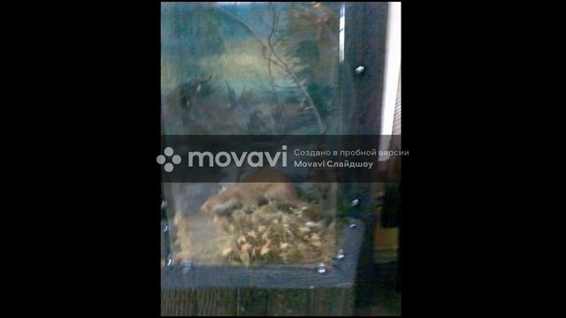 Приокско-Террасный заповедник около города Серпухов.  Зубрятник