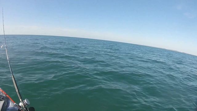 Kayak Fishing - Monster Tope catching смотреть онлайн