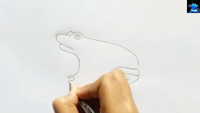 how to draw frog diagram | how to draw diagram of frog | biology important diagrams class 12 смотреть онлайн
