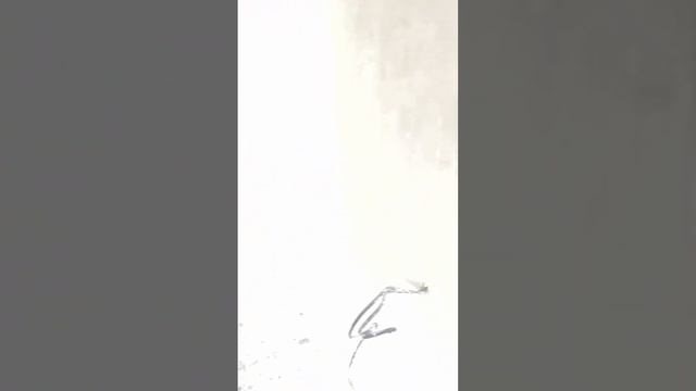 Обзор дома 85 м.кв.