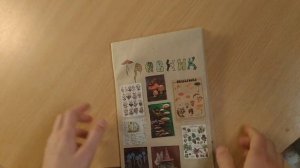 КАК СДЕЛАТЬ ТРАВНИК? | ОФОРМЛЕНИЕ ТРАВНИКА #травник #каксделатьтравник