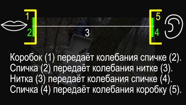 Физика 9 класс. §32 Распространение звука. Звуковые волны. смотреть онлайн