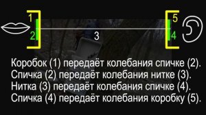 Физика 9 класс. §32 Распространение звука. Звуковые волны.