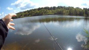 КАК ВЫБРАТЬ СПИННИНГ НОВИЧКУ. Основные виды спиннингов. Сколько спиннингов нужно, чтобы ловить всё?