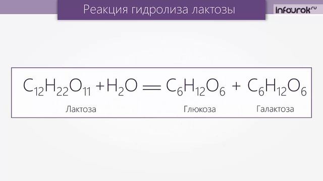 Дисахариды | Химия 10 класс #40 | Инфоурок