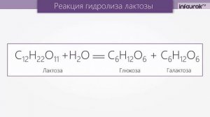 Дисахариды | Химия 10 класс #40 | Инфоурок