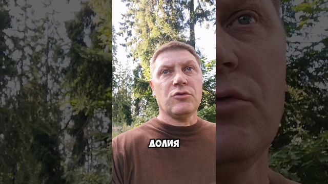 Как выгоднее продавать долевую собственность, целиком или по долям? смотреть онлайн