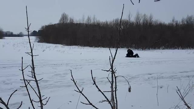 Детство на природе - Австралийцы в России - ENG SUBS смотреть онлайн