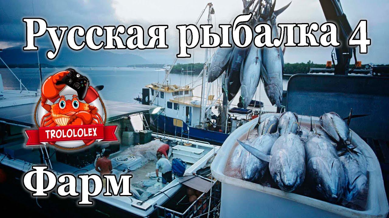 Русская рыбалка 4 Фарм на норвежском море 34 банка смотреть онлайн