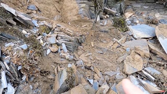 Выслеживаем ЧЕРНОЕ ЗОЛОТО вверх по реке! смотреть онлайн
