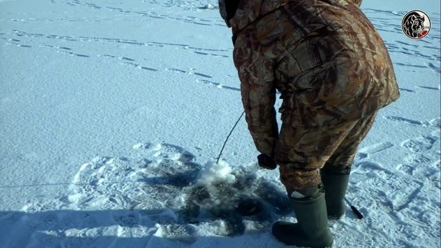 Зимняя рыбалка на реке " ДЕСНА"- ВЫГОНИЧИ! смотреть онлайн
