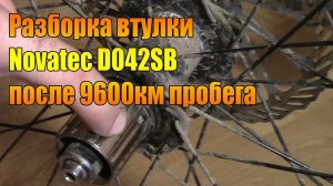 Велообзор: Разборка втулки Novatec D042SB после 9600 км пробега.