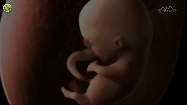 "Аллаh создал тебя" / "Allah created you" смотреть онлайн