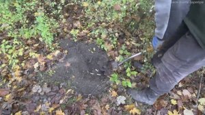 ВОЛОСЫ ДЫБОМ! КОПАЛ ЗОЛОТО с СЕРЕБРОМ и БОЯЛСЯ ВСТРЕЧИ с "ХОЗЯИНОМ" УЧАСТКА!!! Поиск злата серебра