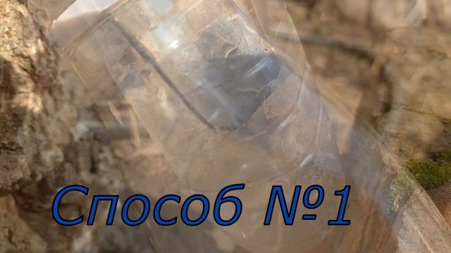 Волшебный лес