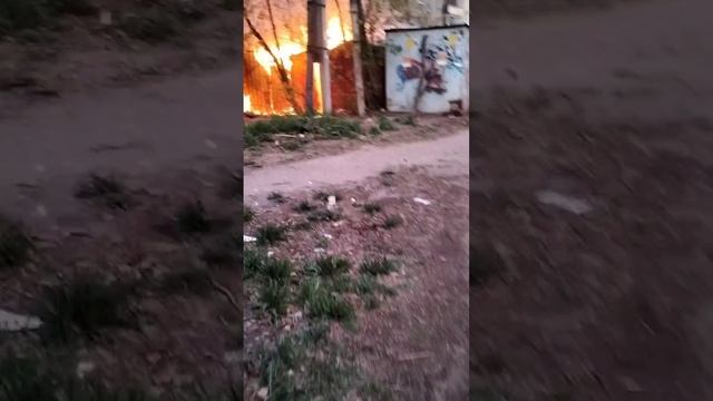 VID_20230503_215108_661.mp4