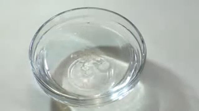 Белковый крем густой смотреть онлайн